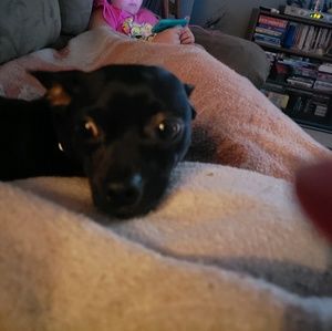 Meet your Posher, Holly